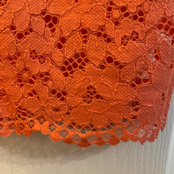 Lace Peachy skirt - Picture 3 of 3